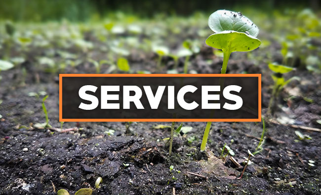 Services Wildlife Land Solutions Services